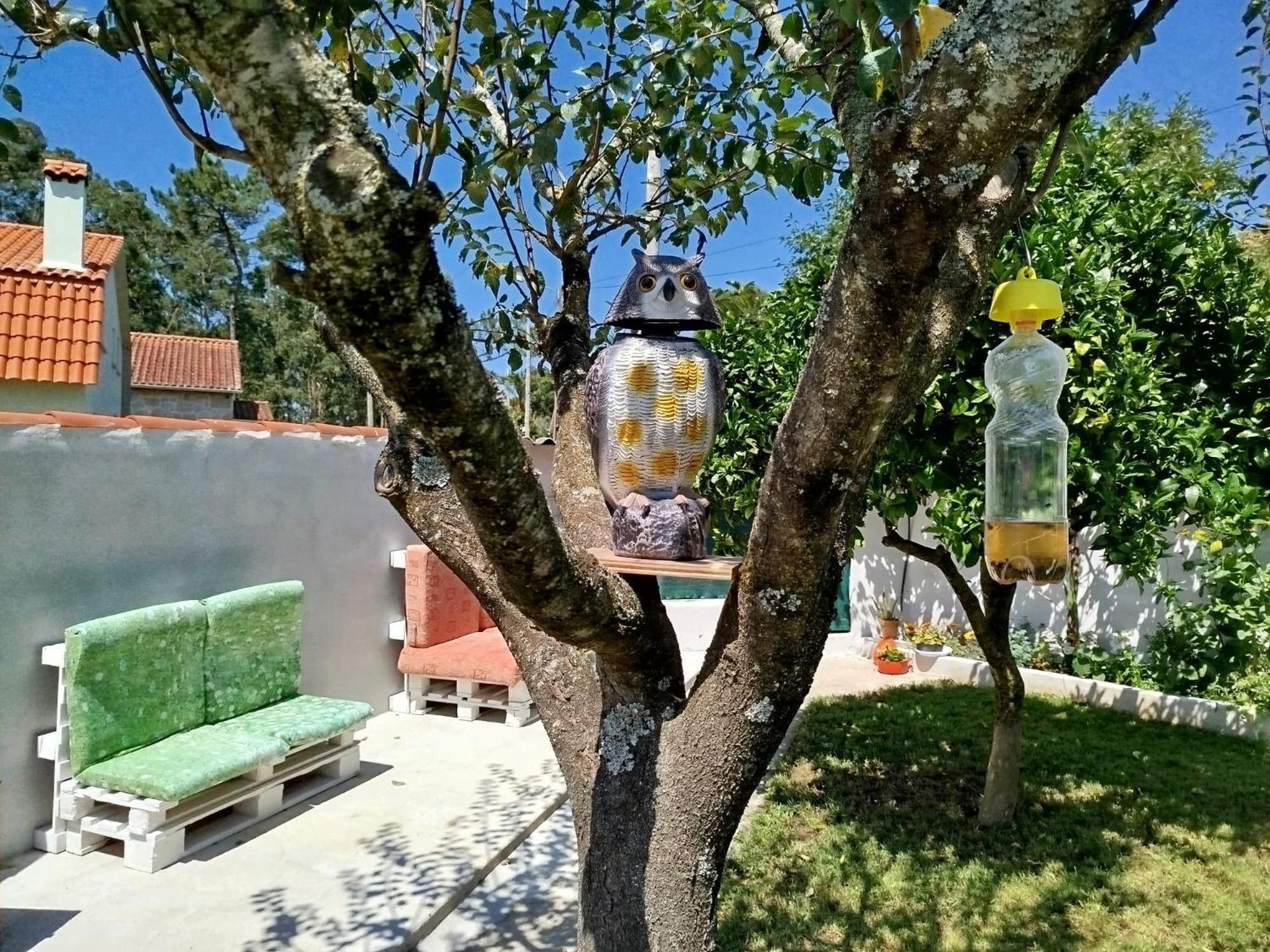 A Telleira Rosal Exterior foto
